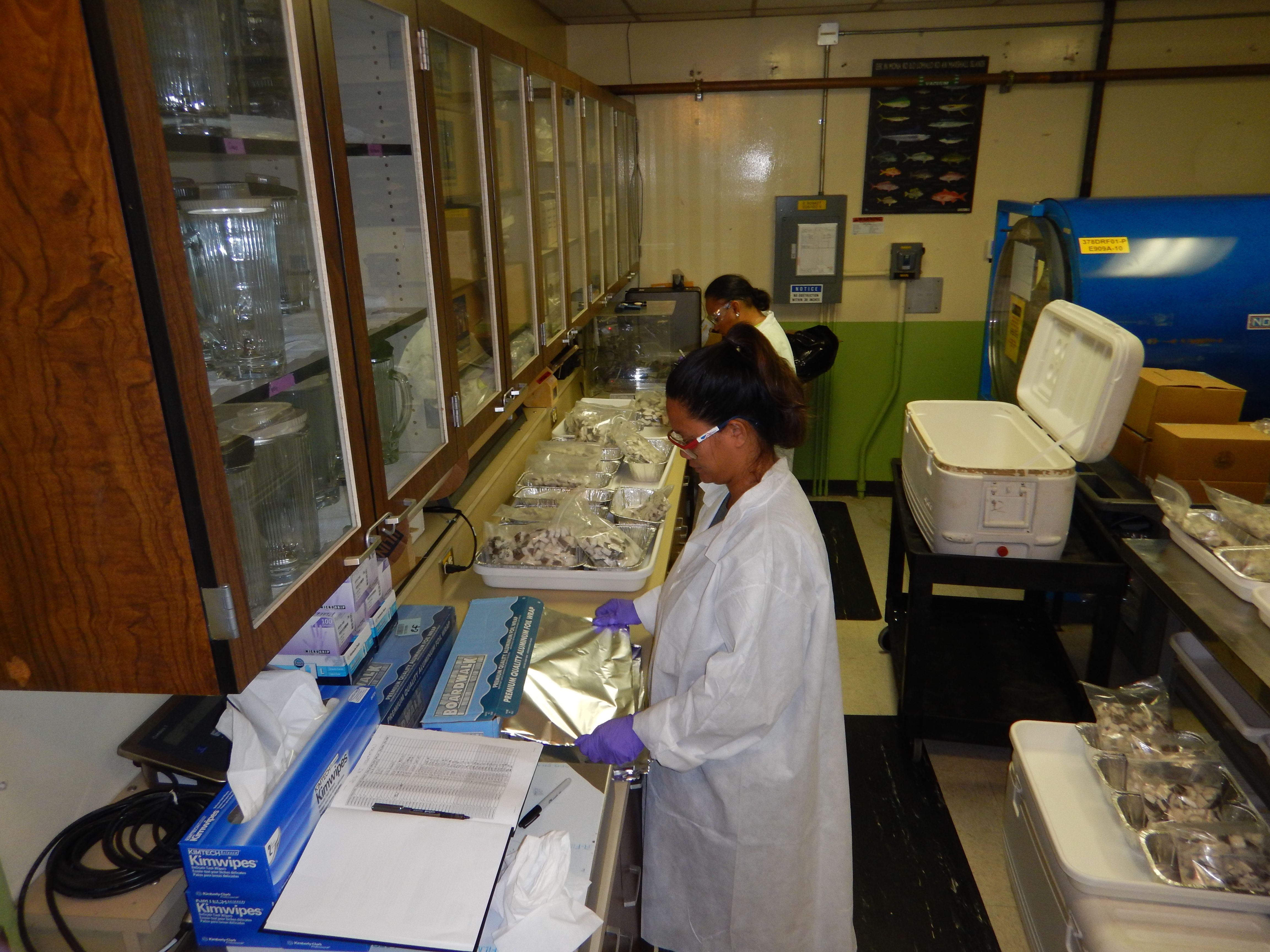 IAEA Technical Corporation Project MHL 7001 Developing a National Radioactivity Monitoring Capacity
